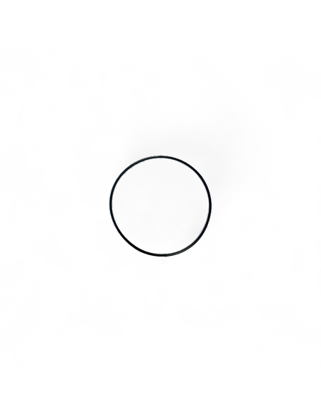 O-Ring OR-G002