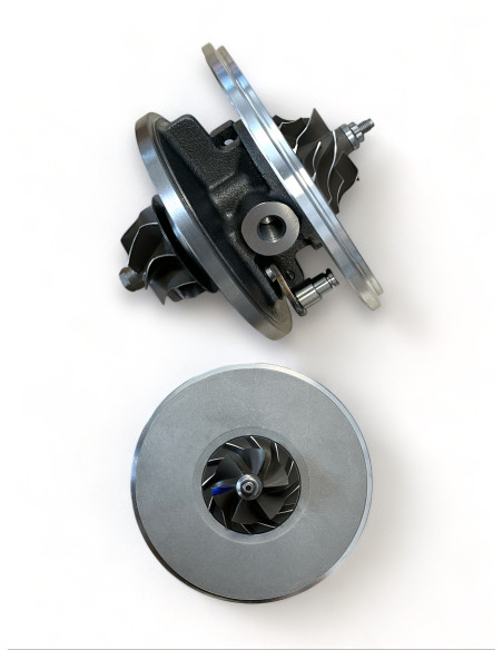 Kartridžas CHRA-G100