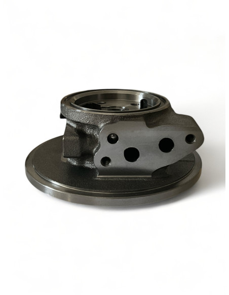 Guolių korpusas BH-T011