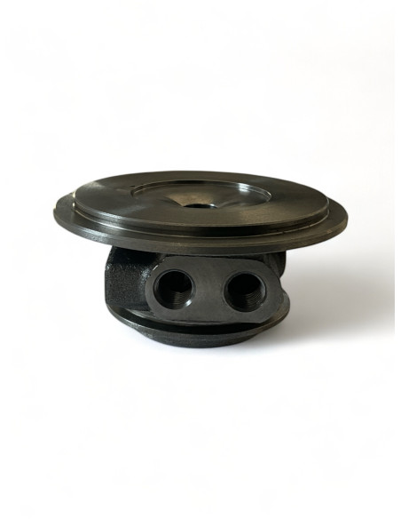 Bearing housing BH-G217