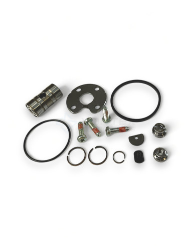 Repair kit RK-G017-1