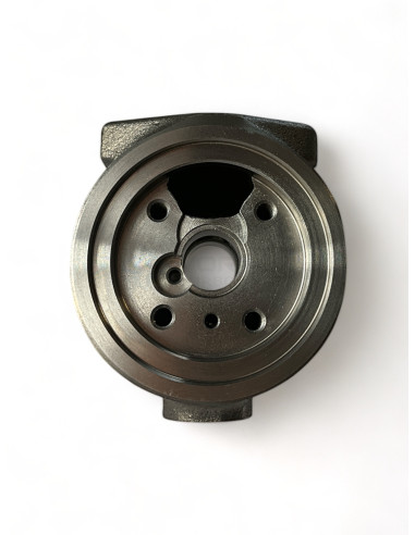 Bearing housing BH-G049